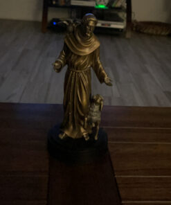 Saint Francis Bronze Religious Christian Catholic Statue 7 B1wZFZUmWgS