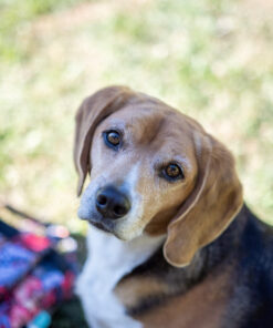 Meike 50mm F1.7 Full Frame Manual Focus Prime Lens Compatible with Z Mount Cameras Z5 Z6 Z7 Z30 Z50 39 B1wiNnQ9ZSS