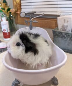 Sophia's Classic White Clawfoot Bathtub with Handheld Shower Head and Faucet Furniture Set for 18" Dolls, White/Silver 36 B1wtYzL0BqS