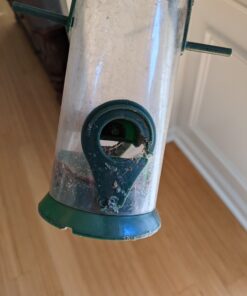 12 Inches Tube Bird Feeders for Outdoors Hanging, 4 Feeding Ports, Hard Plastic Bird Feeder Outdoor Weatherproof and 4 Inch Steel Hanger, Wild Bird Feeders, Finch Feeder, Bird Feeders Outside Hanging 1 4 Ports 41 B1wxuNc2t S