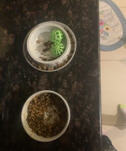 Purina ONE High Protein, Natural Dry Kitten Food, +Plus Healthy Kitten Formula - 16 lb. Bag Dry Food Chicken 16.00 Pound (Pack of 1) 43 B1xnmTzM7DS