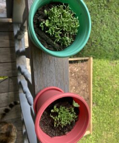 90,000 Wildflower Seeds - 3oz Pure Wild Flower Seed Pack - 25 Variety - Perennial Flower Seeds for Attracting Birds & Butterflies - Open Pollinated, Flower Garden Seeds for Planting Outdoors Perennial (3oz) 57 B1xxwp52q2S 2