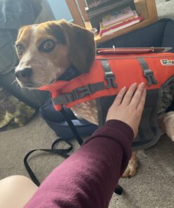 Outward Hound Granby Splash Orange Dog Life Jacket, Small Granby (Flotation) Small (Chest Girth: 16"-20") 43 B1yAY1cDeKS