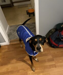 Zack & Zoey Nor'Easter Blanket Coat, Large, Blue 1 Dark Blue 36 B1yHbduJJFS 2