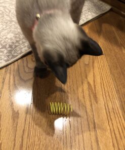 SPOT Ethical Products Ethical Wide Colorful Springs Cat Toy, Medium Breeds 41 B1yma2mRk2S