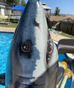 Intex Great White Shark Ride-On, 68" X 42", for Ages 3+ 32 B1ywRAfpXZS