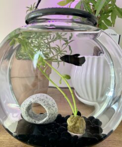 Penn-Plax Deco-Replicas Granite Aquarium Ornament & Hideaway – Realistic Stone Appearance – Safe for Freshwater and Saltwater Tanks – Small Size, White (RR1071) 38 B1zTslY0c9S