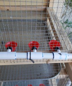 Cruzadel (12 Pack) PVC Tee Fittings For Threaded Poultry Cups Chicken Waterer - Schedule 40 PVC 1/2 inch Slip X 1/2 inch Slip X 1/8 inch FPT 12 39 C1 rlyQGWS