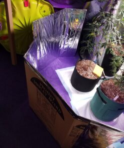 NAVAdeal 2 Pack Silver Highly Reflective Mylar Films, 82x 47Inch, Metallized Foil Covering Sheet, Garden Greenhouse Farming, Increase Plant Growth Save Power, Reduce Uneven Heat Environment Safe Pack of 2 42 C102C8Jv4jS