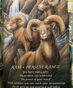 Spirit of the Animals Oracle 61 C10Caks9UjS