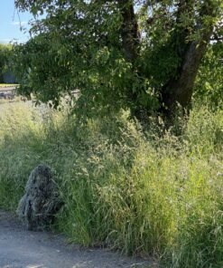 Modern Warrior Mixed Tactical and Hunting Ghillie Suit Woodland/Forest 31 C11 IKGCrIS