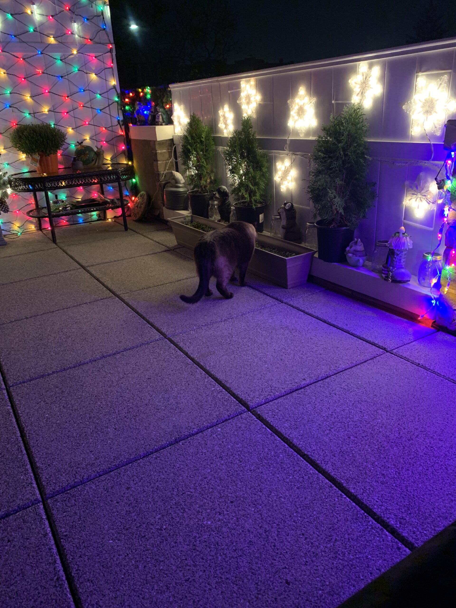 BN-LINK Outdoor Indoor Wireless Remote Control 3-Prong Outlet Weather Proof Heavy Duty 15 AMP Compact (Black) 3 Grounded Outlets with Remote 6-inch Cord 100ft Range ETL Listed 131R 27 BN-LINK Outdoor Indoor Wireless Remote Control 3-Prong Outlet Weather Proof Heavy Duty 15 AMP Compact (Black) 3 Grounded Outlets with Remote 6-inch Cord 100ft Range ETL Listed 131R - Image 27