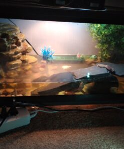Tetra Decorative ReptoFilter, Terrarium Filtration, Keeps Water Clear 49 C120WSpPcCS