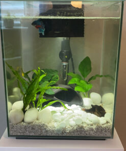 Fluval Chi II Series Aquarium Set, 5-Gallon - Aquarium Tank with Ambient LED Lighting, Flowing Water, and Elegant Design, White 5 gal 48 C12LBhMpoS