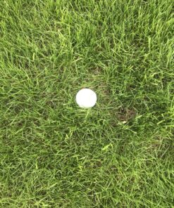 Galvanized Survey Markers - 12 Pack - Low Profile Survey Stakes (Plain) 18 C12MOeJa9YS