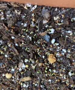 90,000 Wildflower Seeds - 3oz Pure Wild Flower Seed Pack - 25 Variety - Perennial Flower Seeds for Attracting Birds & Butterflies - Open Pollinated, Flower Garden Seeds for Planting Outdoors Perennial (3oz) 62 C14TuZmOWoS