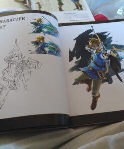 The Legend of Zelda: Breath of the Wild--Creating a Champion 56 C16N04zG S