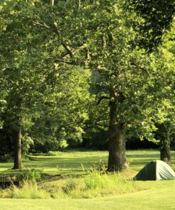 Forceatt Camping Tent 2/3/4 Person, Professional Waterproof & Windproof Lightweight Backpacking Tent Suitable for Outdoor,Hiking,Camping, Mountaineering and Travel 2 people-Dark green 31 C17vO2IRS