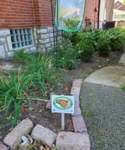 Trasfit Pop-up Insect and Butterfly Habitat Cage Terrarium - 24 Inches Tall 61 C18NoberlvS