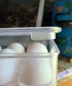 iDesign Plastic Egg Holder for Refrigerator with Handle and Lid, Fridge Storage Organizer for Kitchen, Set of 1, Clear 51 C19YBqyu8BS
