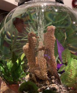 biOrb CLASSIC 15 Aquarium with LED - 4 gallon, Black 22 C1BJiCavVbS