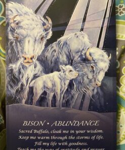 Spirit of the Animals Oracle 63 C1BjIAscy2S