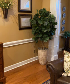 Nearly Natural 6ft Fiddle Leaf Fig Artificial Trees, 72in, Green 72 in 51 C1BsOxGgvKS