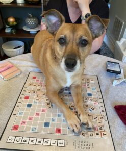 Hasbro Gaming Retro Series Scrabble 1949 Edition Board Game 13 C1CVY9qFCnS