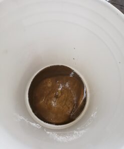 Chemical Guys DIRTTRAP04 Cyclone Dirt Trap Car Wash Bucket Insert Car Wash Filter Removes Dirt and Debris While You Wash (Green) 12" Diameter Great For Washing Cars, Trucks, SUVs, RVs & More Lime Green 48 C1Cf1kSwPVS