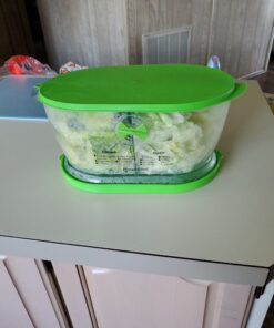 Prep Solutions by Progressive Lettuce Keeper Produce Storage Container, 4.7 Quarts 40 C1D9JsHGXaS