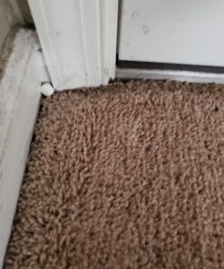 Harris Roach Tablets, Boric Acid Roach Killer with Lure for Insects (4oz, 96 Tablets) 4 oz 43 C1DdfIw6cRS