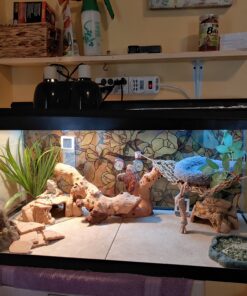 Exo Terra Reptile Fountain,Brown 8 C1EEuKIyVLS