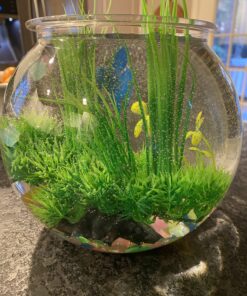 Koller Products Panaview 1-Gallon Globe Fish Bowl (BL10RFFP) 23 C1FxQVMkyMS