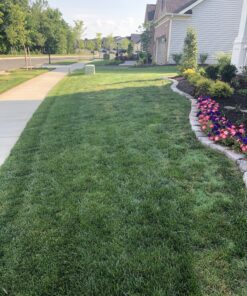 Lawnlift Ultra Concentrated (Green) Grass Paint 16oz. = 1.375 Gallons of Product. 47 C1GKL0J7D3S