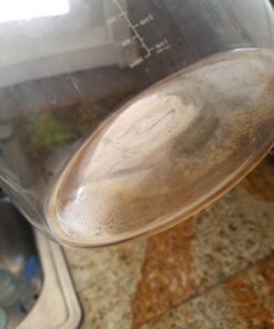 Airtight Cold Brew Iced Coffee Maker Pitcher (& Iced Tea Maker) with Spout – 1.5L/ 51oz Ovalware RJ3 Brewing Glass Carafe with Removable Stainless Steel Filter 1.5 Liter 35 C1JD6 6hZrS