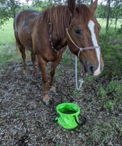 Premium Collapsible Bucket by Freegrace - Compact Portable Folding Water Container - Lightweight & Durable - Includes Handy Tool Mesh Pocket Green 16L 23 C1K2DQnm6BS 2