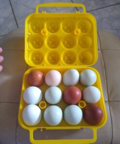 Coghlan's Egg Holder 12 Eggs 44 C1Lhlf8zJTS