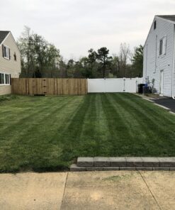 Scotts Elite Spreader for Grass Seed, Fertilizer, Salt and Ice Melt, Durable Push Spreader Holds up to 20,000 sq. ft Product Single Pack 79 C1Lv2k gVoS