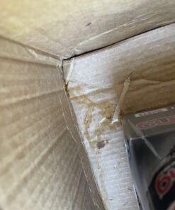 Bang Energy Black Cherry Vanilla, Sugar-Free Energy Drink, 16-Ounce (Pack of 12) 16 Ounce (Pack of 12) 50 C1NGB8uk9xS