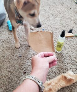 EBPP Stop the Chew 3X Strength Anti Chew Spray for Dogs - No Chew Spray for Puppies - Alcohol Free Dog Deterrent Spray - Bitter Spray for Dogs to Stop Chewing - Powerful No Chew Spray for Dogs - 8oz 52 C1O4m448VhS