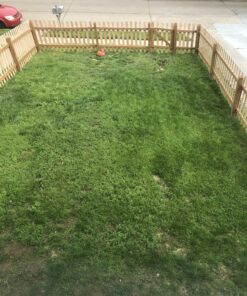 Scotts EZ Seed Dog Spot Repair Sun and Shade - 2 Lb., Mulch, Seed and Soil Amendment with Protectant and Tackifier, Repairs Pet Spots 2 lb. 1 Pack 50 C1OWJQMr4aS