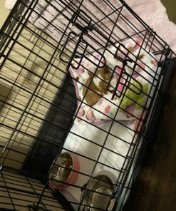 Paws & Pals Dog Crate, 24" Pet Cage, Wire Metal Kennel, with Tray, Foldable & Portable, Durable Steel Wire, Easy Setup, Ideal for Puppies & Kittens, Black 24.0"L x 16.0"W x 20.0"H 37 C1Olnr9Ao S