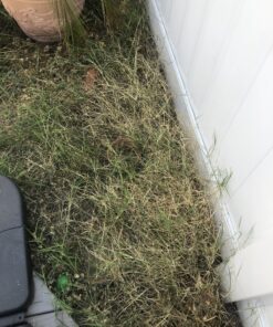 Roundup Ready-To-Use Weed & Grass Killer III -- with Sure Shot Wand, Use in & Around Vegetable Gardens, Tree Rings, Flower Beds, Patios & More, Kills to the Root, 1.33 gal. 35 C1Q831cCp1S 2