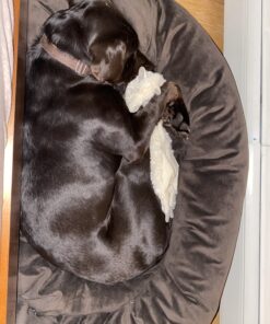 Majestic Pet 40 Inch Suede Calming Dog Bed Washable – Cozy Soft Round Dog Bed with Spine Support for Dogs to Rest their Head - Fluffy Donut Dog Bed 40x29x9 (Inch) - Round Pet Bed Large – Chocolate 40 in. 35 C1RftUpJRTS