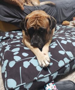 Molly Mutt Huge Dog Bed Cover - Your Hand in Mine Print - Measures 36”x45”x5’’ - 100% Cotton - Durable - Breathable - Sustainable - Machine Washable Dog Bed Cover 28 C1VXOhLrnPS