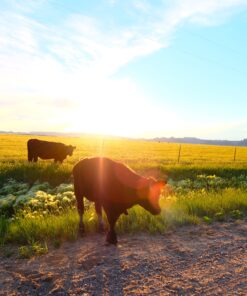 Fujifilm XF14mmF2.8 R Black 14mm f2.8 Lens Single Item 40 C1Vd6IW1tcS