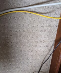 BISSELL Professional Power Shot Oxy Carpet Spot and Stain Remover, 14 ounces, 95C9 41 C1XxXxamQOS