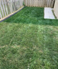 LawnLift 64 ounce Grass Paint factory 2nd with cosmetic blemishes on bottle, seal and label. May include dried paint or other unsightly blemishes on exterior of bottle. 28 C1YmthgwxFS