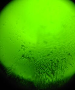 Fairhaven Health Fertile Focus Ovulation Test Kit - Women's Fertility Tracker and Predictor - 3 Days in Advance - Ovulation Kit - Accurate, Reusable Home Saliva Test - Results in Five Minutes 50 C1Z1ZATkJPS