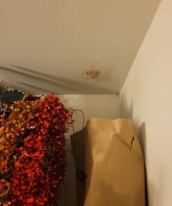 Flex Seal, 14 oz, 2-Pack, Clear, Stop Leaks Instantly, Transparent Waterproof Rubber Spray On Sealant Coating, Perfect for Gutters, Wood, RV, Campers, Roof Repair, Skylights, Windows, and More 41 C1ZhjwCvxCS